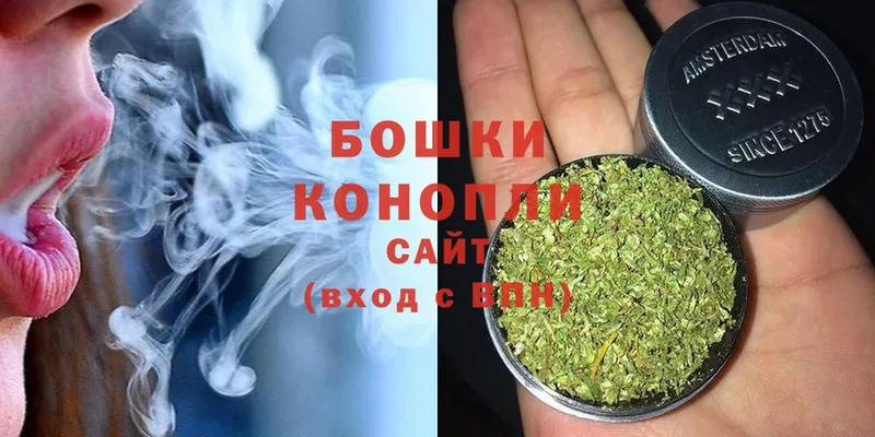 где продают наркотики  Кедровый  Шишки марихуана White Widow 